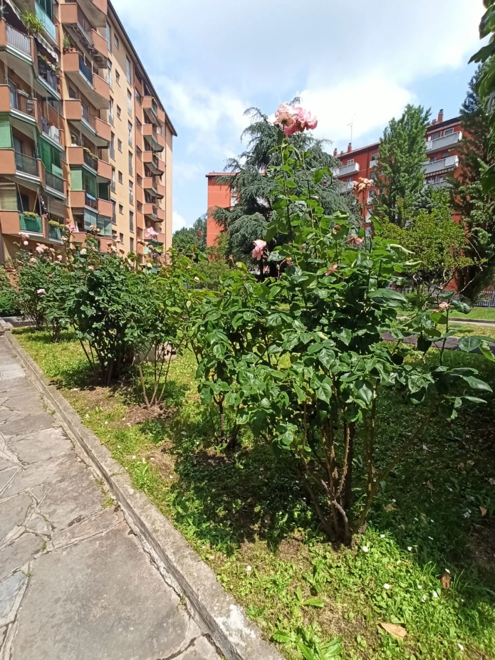 Amministratore Condominiale Milano - Italia Amministrazioni