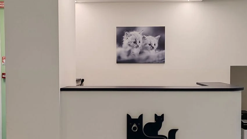 AniCura Clinica Veterinaria San Siro