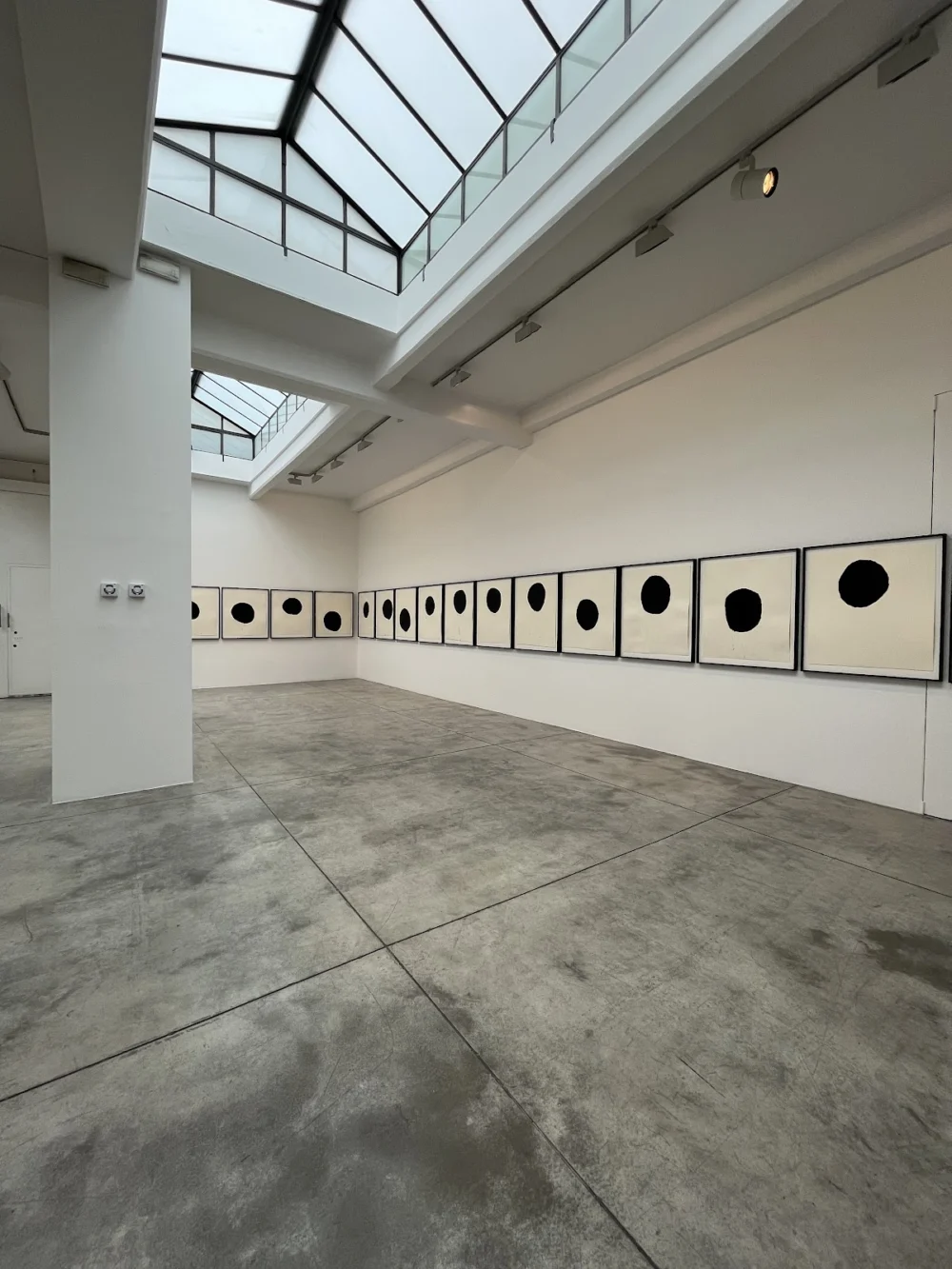 Cardi Gallery